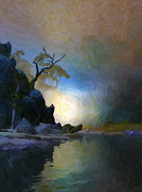 Woods by Stream