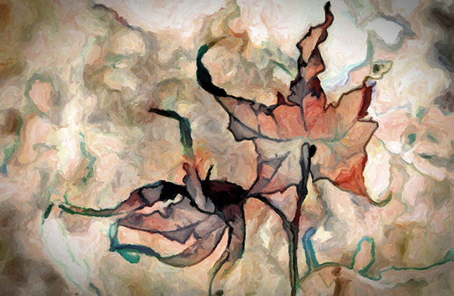 Scraggle Leaves