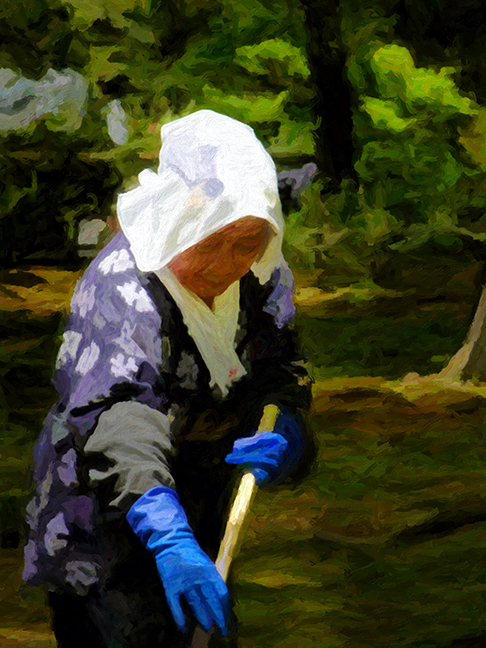 Japanese Lady Gardener