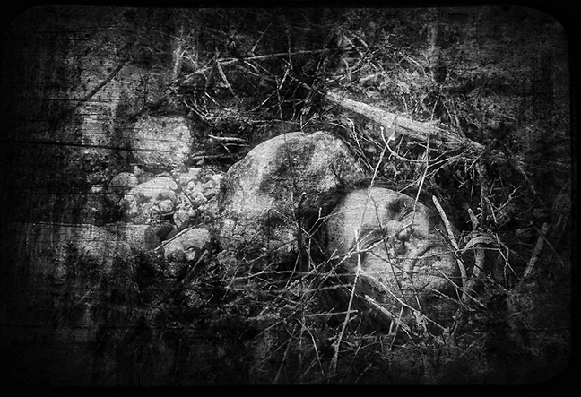 Dead Man in Brush
