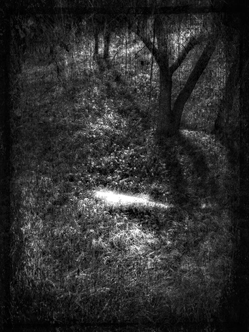 Angel's Grave