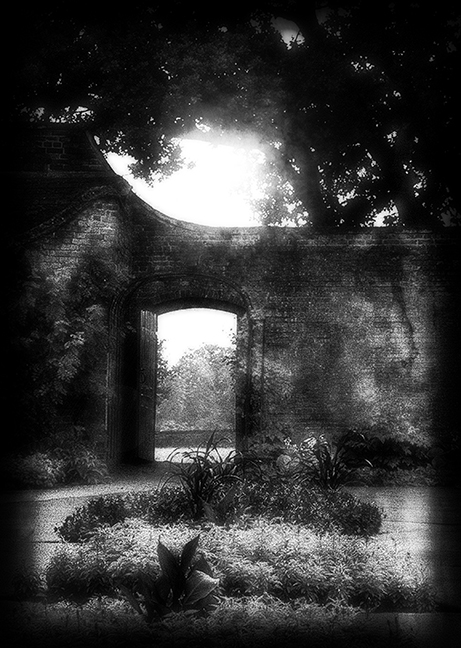 Garden Wall