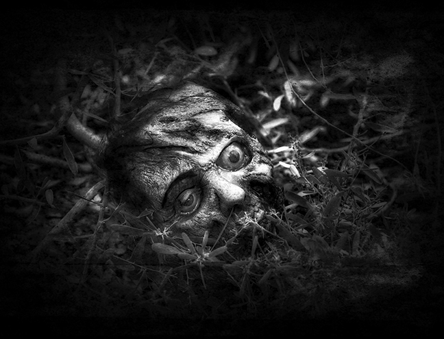 Zombie Head in Weeds