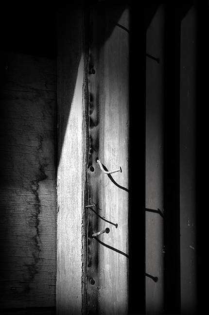 Nails in Corrugated Tin