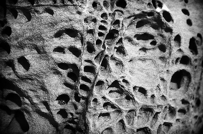 Pitted Rock
