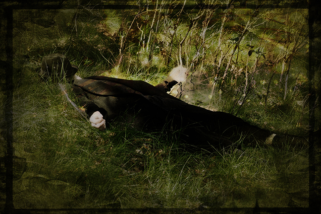 Like Ophelia